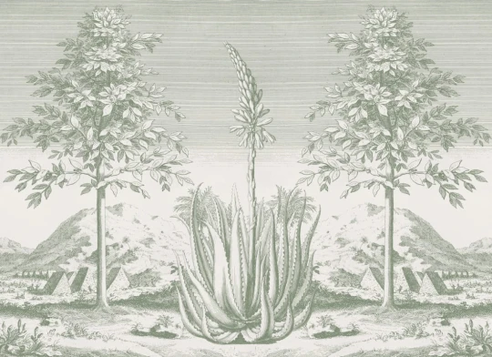 Hovia TR0675GR03W Aloe Green - mural w tropikalny pejzaż z aloesem