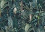 39f2280b261fd79b0f809b1aaeddc0dc