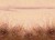636a1eb0e84dd675bab7e81b4fe3eaee