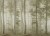 2b2039ea9f9a84044e69dd9f4a46e5eb
