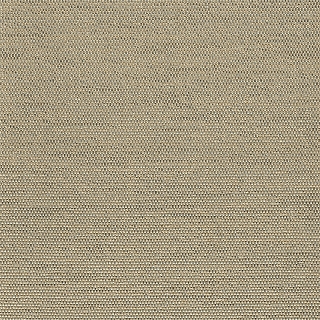 637cd8e6069f1cea6757f65145fecb45
