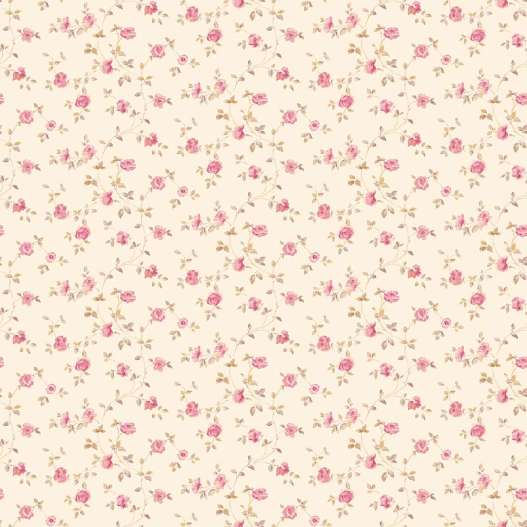 bcd85045a3b3513723c48eca5efb2e5d