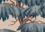 eb67c3660a1feb13e2f249377f722b79