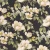781ba7a5b10be4d16dd61b2c66bdf116