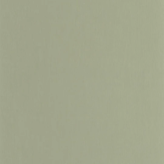 Casadeco 202527681 Hansan Vert eucalyptus - tapeta imitująca tkaninę