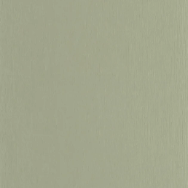 Casadeco 202527681 Hansan Vert eucalyptus - tapeta imitująca tkaninę