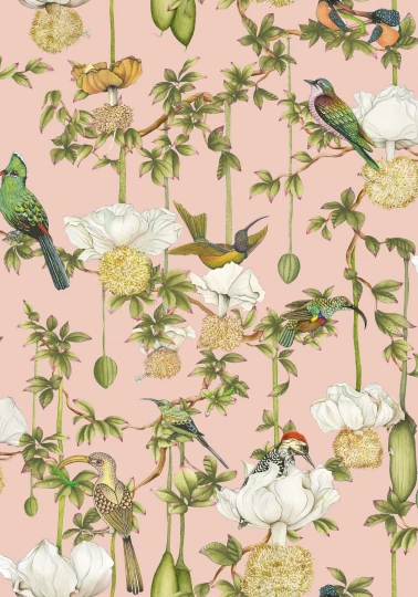Cole&Son 129/2005 Ardmore Baobab Botanica Blush - tapeta egzotyczne ptaki
