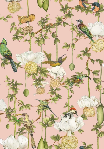 Cole&Son 129/2005 Ardmore Baobab Botanica Blush - tapeta egzotyczne ptaki
