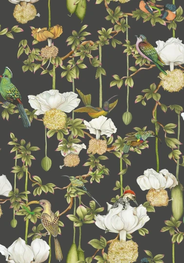 Cole&Son 129/2009 Ardmore Baobab Botanica Onyx - tapeta egzotyczne ptaki