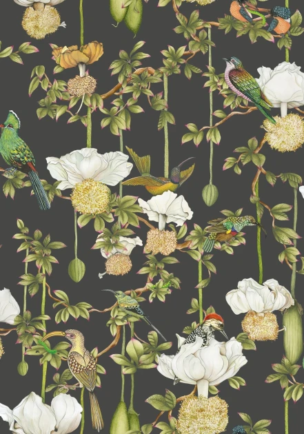 Cole&Son 129/2009 Ardmore Baobab Botanica Onyx - tapeta egzotyczne ptaki