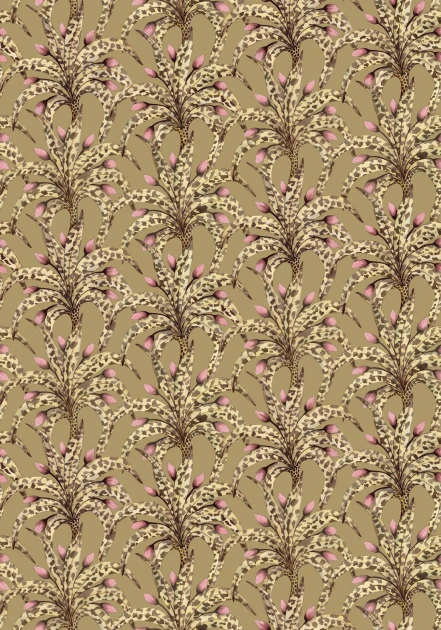Cole&Son 129/5020 Ardmore Baobab Afrika Damask Safari & Blush - tapeta w ornamentalny motyw roślinny