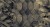 c40130c8b49eada9cdf9e8d5086f7ff7