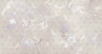 43f5c8423357efb1dced2ff4ea257761