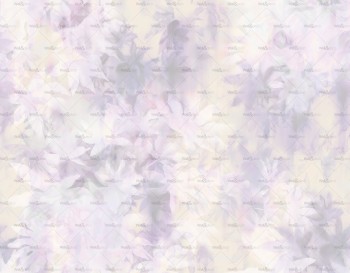 a773c615eb69b6e58a1e1a5b81a40785