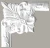 LNZ-05-2.webp