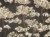 98919e8563ff651c94bdea4cc0bba3f5