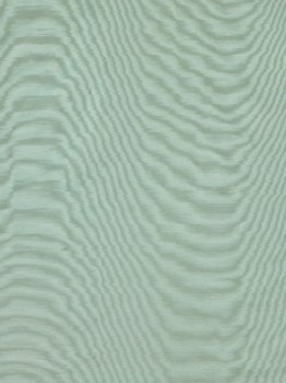 5e505f98d56c9f1e2d2b1f1e59d8e513