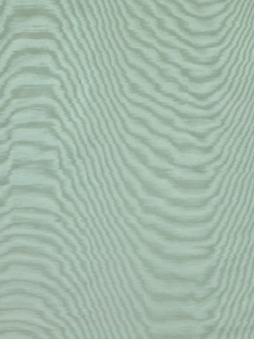 5e505f98d56c9f1e2d2b1f1e59d8e513