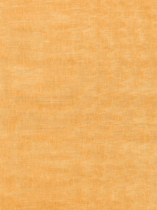 809ef80e7dc0c4681de9235e3dd023a3