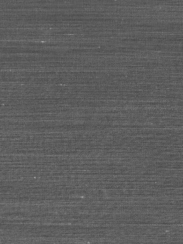 646b4f2e60a6ef134336579f6602d499