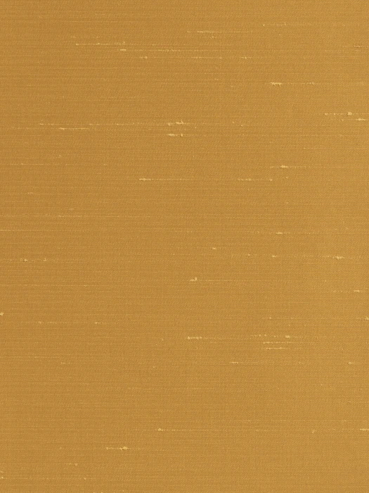 49d056c1d130168e9637a253515bd4a7