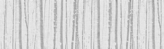 Fototapeta Inkiostro Bianco Enchanted Forest INKSSEE1401
