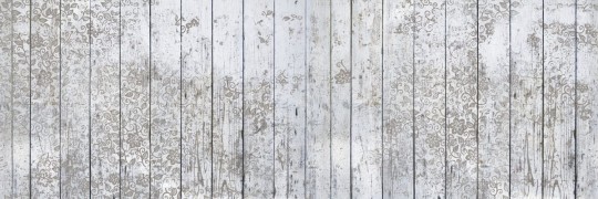 Fototapeta Inkiostro Bianco Grassy Strips INKGS1301