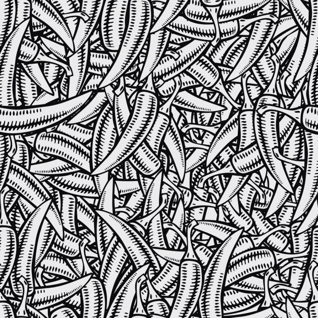 Fototapeta Inkiostro Bianco Kapsicum INKKA1302