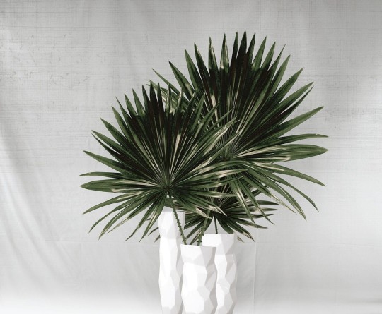 Fototapeta Inkiostro Bianco Miami INKIEYI1801