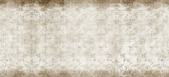 Fototapeta Inkiostro Bianco Napoleon INKBBPP1302