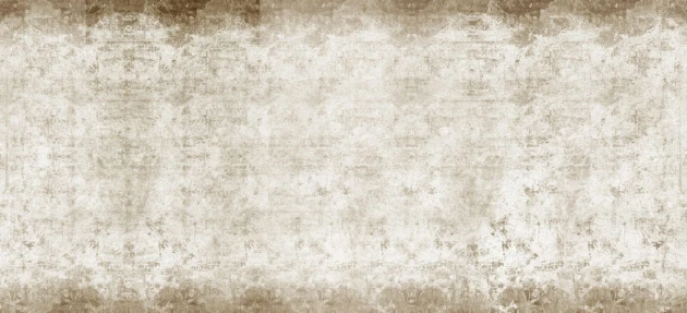 Fototapeta Inkiostro Bianco Napoleon INKBBPP1302