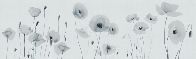 Fototapeta Inkiostro Bianco Poppies INKPP1301