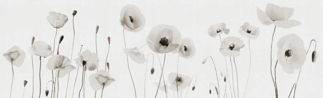 Fototapeta Inkiostro Bianco Poppies INKPP1302