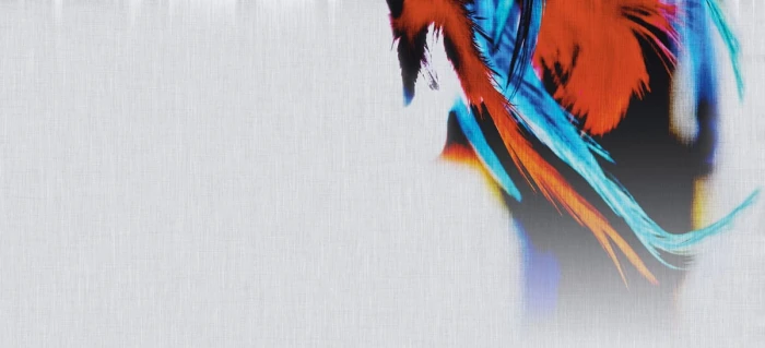 7e6e0af418b28869aaee4f8ed09cc194