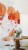 3b992024b25575bc3adfa9a0745b9a53