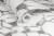91fbb5dd74dc66971cd5d3dbc34771a0