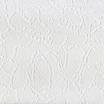 3842541050589701ed9355444f732ef8