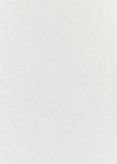 Anthology 110780 01 Shellac - tapeta z motywem betonu