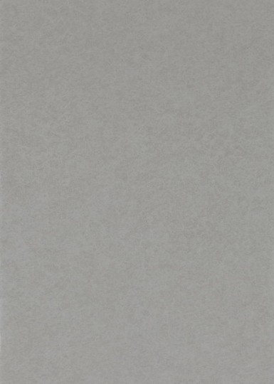 Anthology 110782 01 Shellac - tapeta z motywem betonu