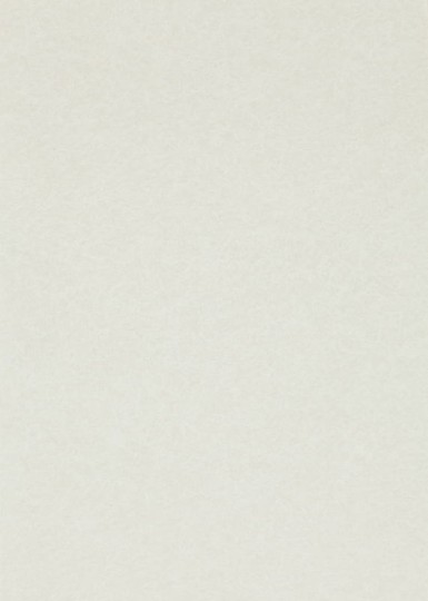 Anthology 110784 01 Shellac - tapeta z motywem betonu