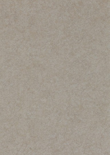 Anthology 110785 01 Shellac - tapeta z motywem betonu