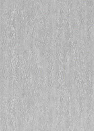 Anthology 110707 02 Anaconda - tapeta z motywem skóry węża