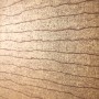 fd789e8261b6a589d43c0ffc23a60ee7