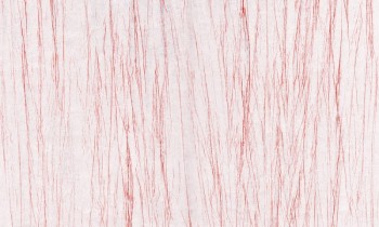 c6e4ef75882f10e91b319bc2103e192d