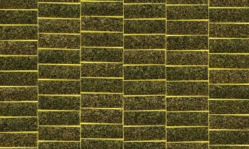a86df2eb83ea4a6e0a2cf337b6c9b729