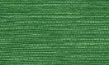 c53e0be9056adc0c0060eb329204972e