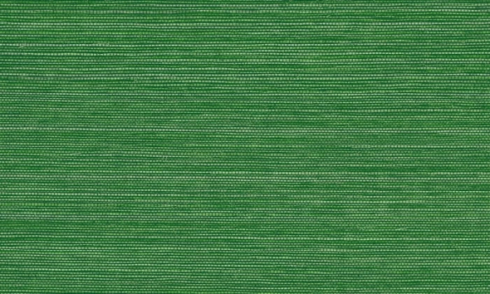 c53e0be9056adc0c0060eb329204972e