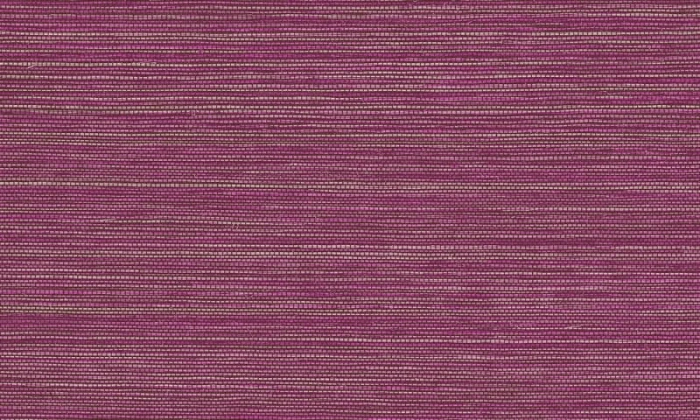 81c7ea77604b1b9d0937ab81c9c1a23a