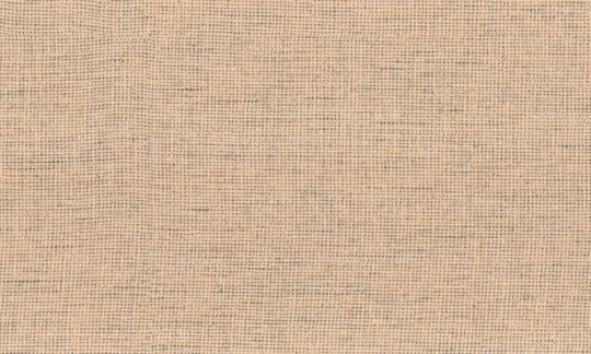 Arte 67048 Arctic Shades - tapeta obiektowa o wyglądzie naturalnej tkaniny z trawy