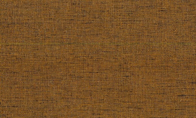 Arte 67052 Arctic Shades - tapeta obiektowa o wyglądzie naturalnej tkaniny z trawy